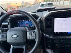 فورد إف-150